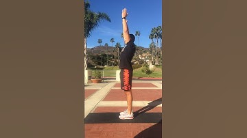 Multi-Segmental Extension