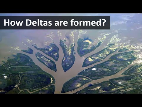 Video: Ce este câmpia deltaică?