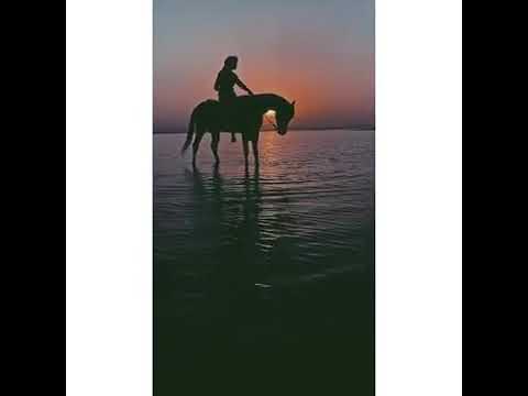 عاشقة الخيل