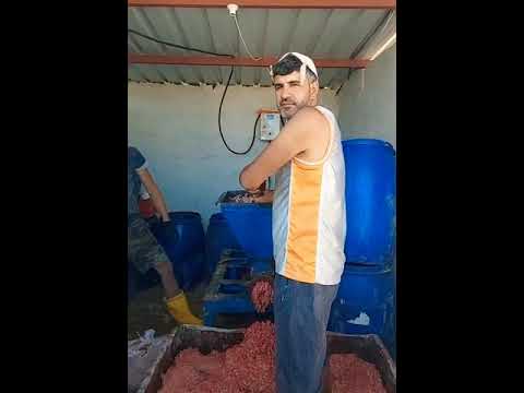 طريقة عمل مرتديلا حلال