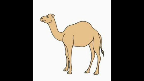 HOW To DRAW camel/tutorial