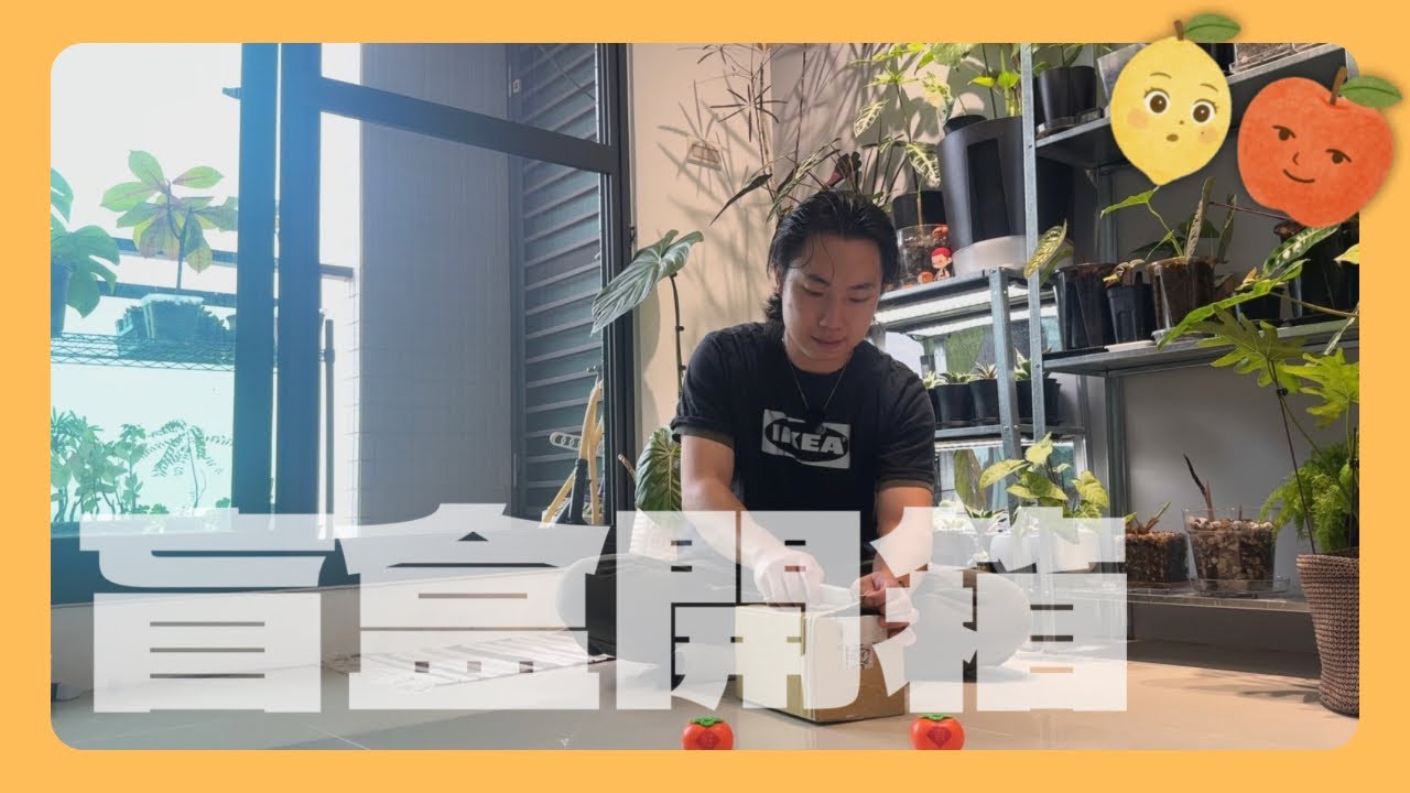 ［Taiwan Plant Unboxing ］植物盲盒開箱｜新年福袋