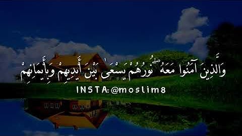 يا أيها الذين آمنوا توبوا  إلى الله  توبة نصوحا [ قرآن كريم راحة نفسية ](القرآن كريم)
