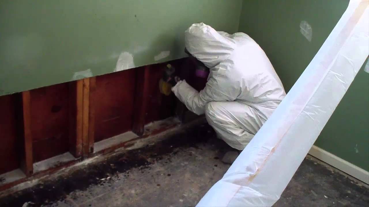 Mold removal done correctly in Maryland