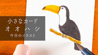イラスト 】オオハシを描いていく | Toucan - YouTube