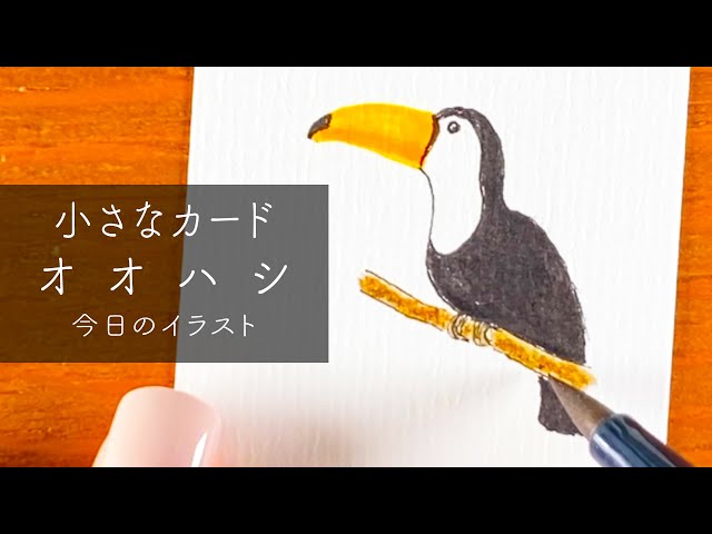 イラスト 】オオハシを描いていく | Toucan - YouTube