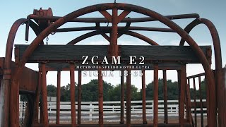 Z Cam E2 Cinematic | Sigma 18-35mm F1.8 Art DC HSM | Red Rock State Park, Las Vegas
