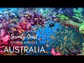 THE ICONIC S.S. YONGALA WRECK - GREAT BARRIER REEF - AUSTRALIA BEST DIVING - 4K VIDEO