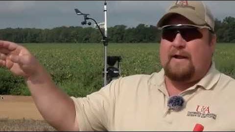 Trellis work with the Arkansas Farm Bureau