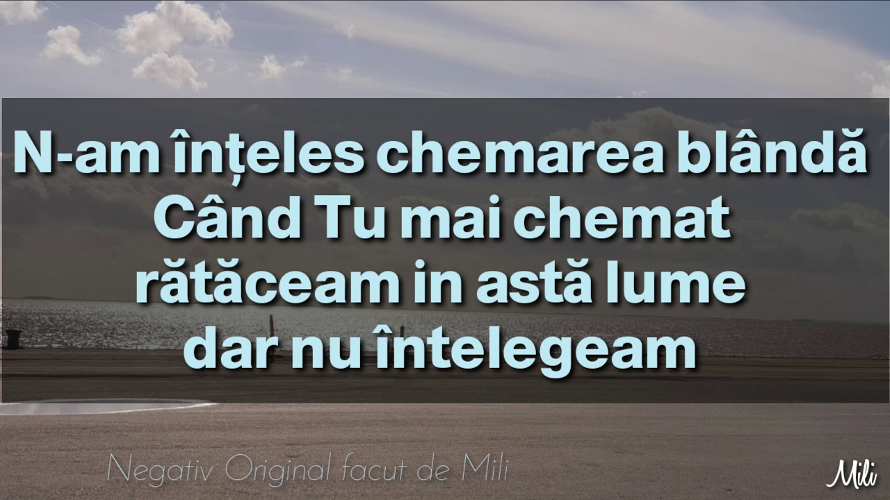 Negativ Original  Mili Din Barbulesti  - Ai venit din înălțime  - Playback  INSTRUMENTAL  (NEW 2020)