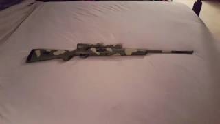 Gun Pics: Do's and Don'ts screenshot 2