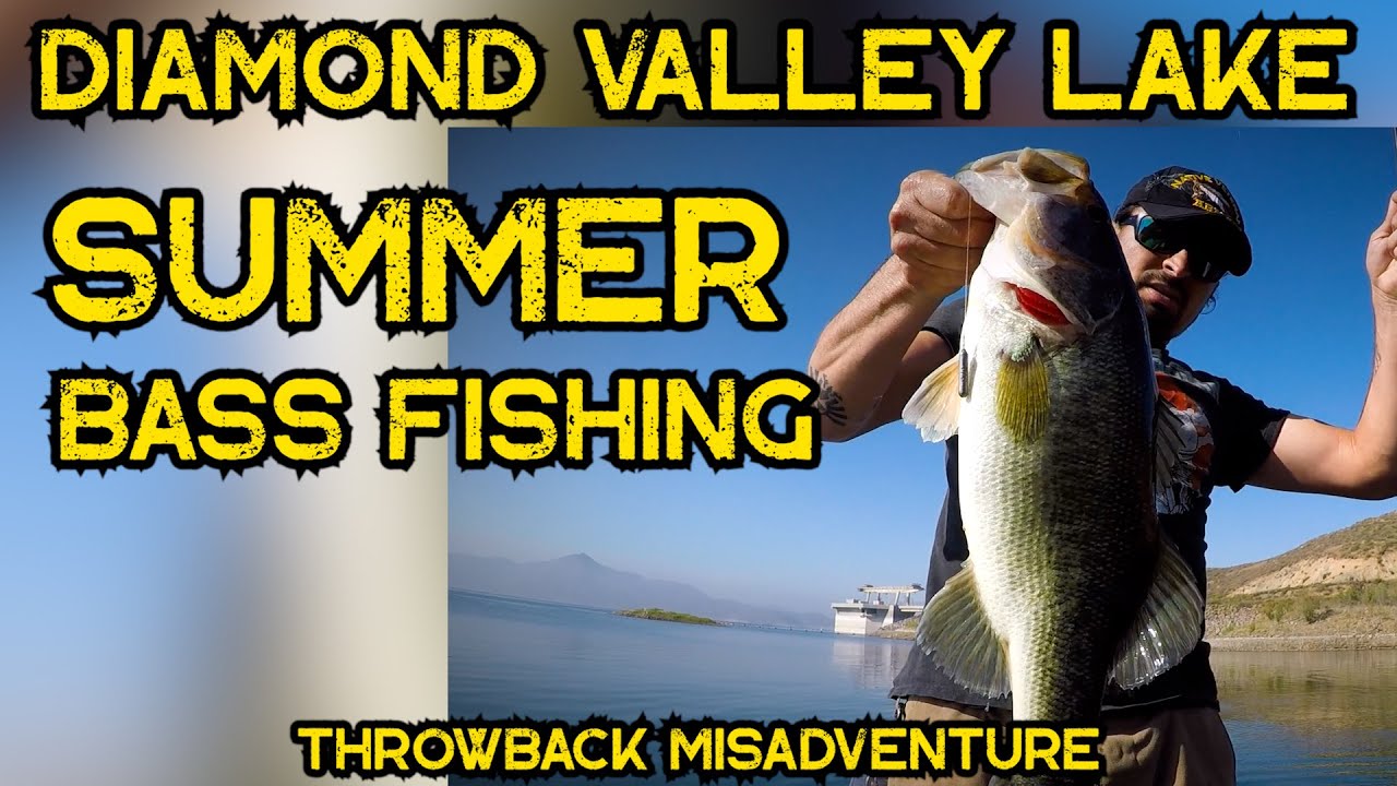 Summer Bass Fishing Diamond Valley Lake June | ThrowBack #Bass #fishing #bassfishing