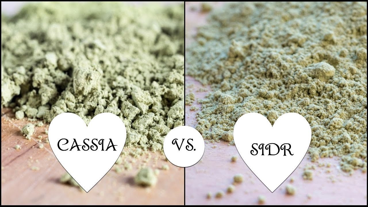 Cassia (henné neutro) o Sidr: Cosa usare nei mix tintori di henné? Beautilicious Delights