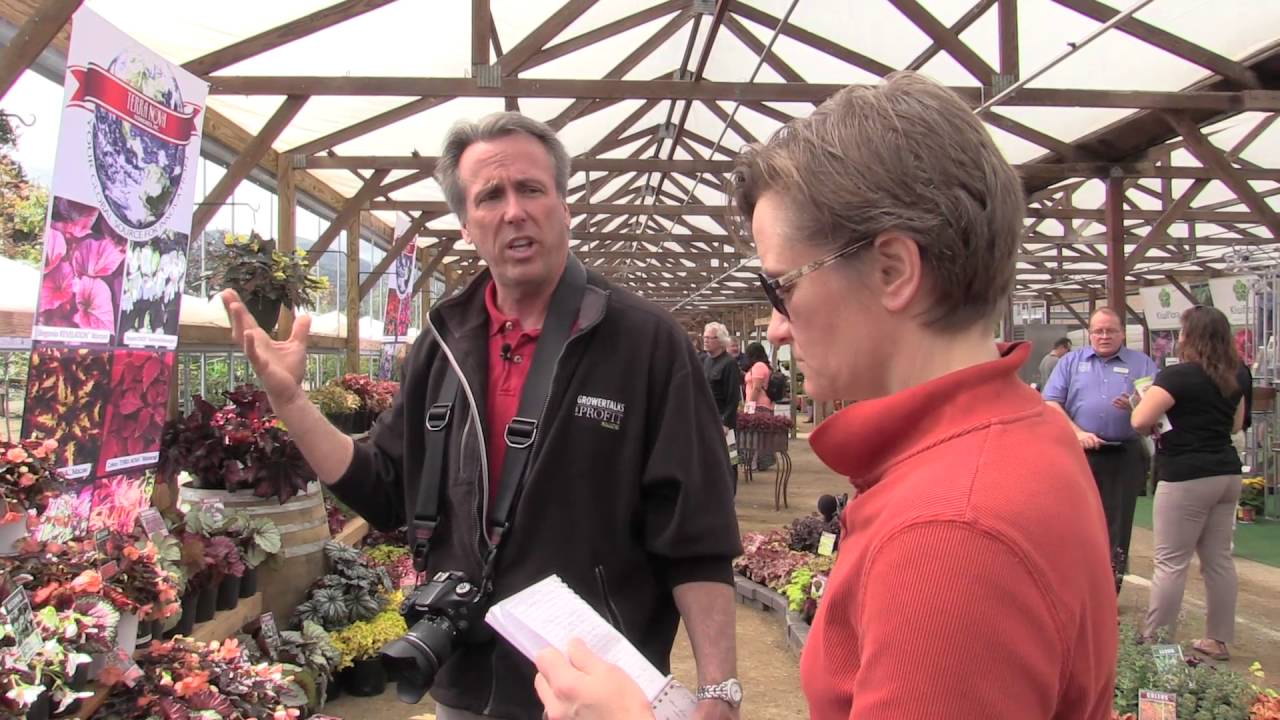 2016 Spring Trials: Terra Nova