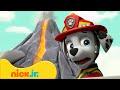 Patrulha Canina | Missões de Vulcão Mais Ousadas com Skye! | Nick Jr. em Português