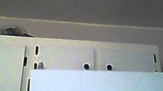 Capture 20120930 3