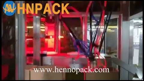 Hennopack spider hand packer for stand up pouch bag case packer product line with robotic palletizer
