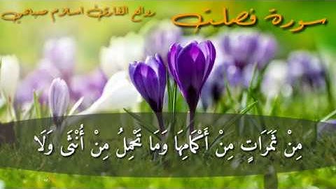 سورة فصلت كاملة /القارئ اسلام صبحي/ارح قلبك بصوت هادء