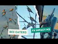 مشوار صيد التيان بسرعة تحول لصيد ورور حرزان بالfx Impact M3 