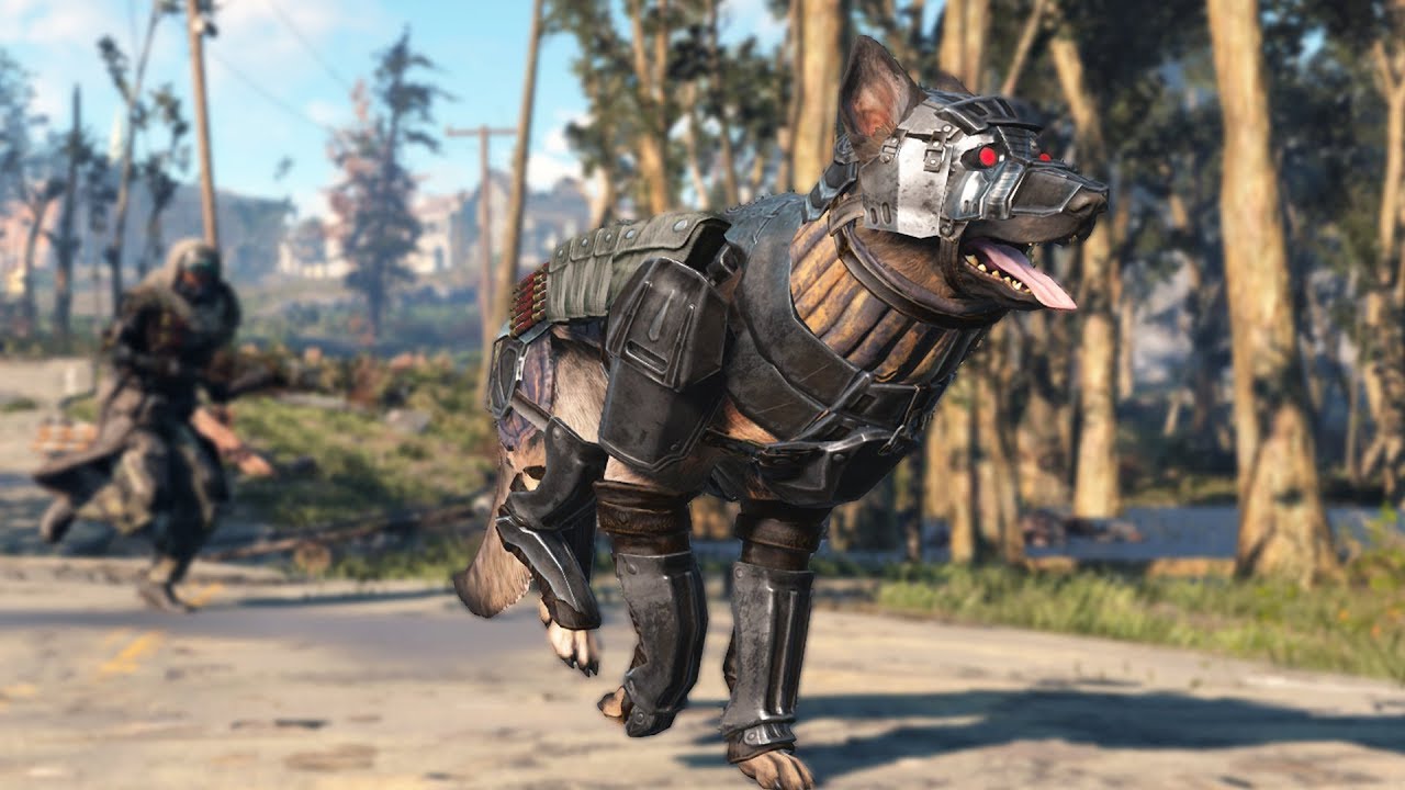 Featured image of post Fallout 4 Dog Armor Due to the nature of its design it can only be equipped by dogs