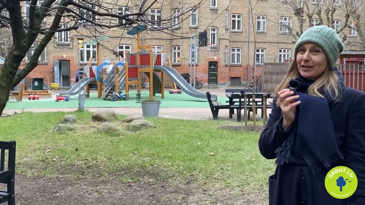 Biodiversitet i gården på Jagtvej karré 1