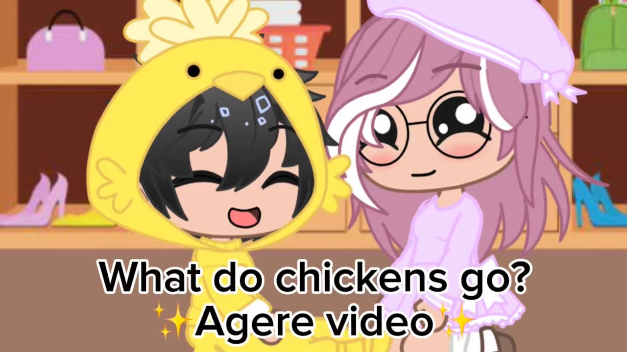 What do chickens go? ✨Agere Video✨