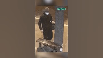 Trộm trang sức vàng trị giá 11 tỷ đồng, tên trộm bị bắt vì đãng trí quên điện thoại| #shorts