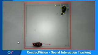 ConductVision Features: Markerless Social Interaction Analysis