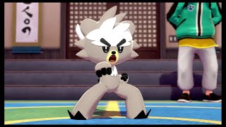 Pokemon Sword & Shield: Isle of Armor - Kubfu First Encounter