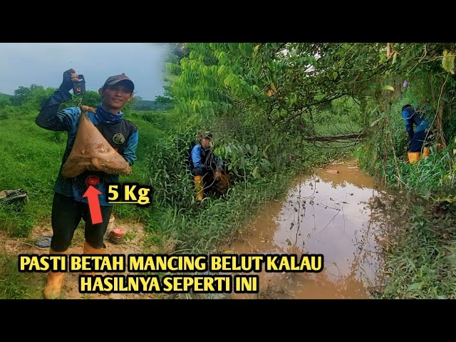 BIKIN BETAH MANCING BELUT KALAU HASILNYA SEPERTI INI class=