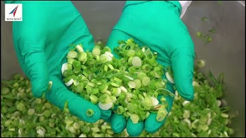 Máy cắt hành lá năng suất 2 - 3 tấn/giờ | Hãng: Urschel | Xuất xứ: USA