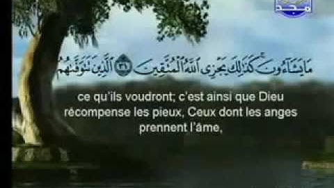 سورة النحل |الشيخ السديس والشريم AnNahl |Sudais & Shuraim