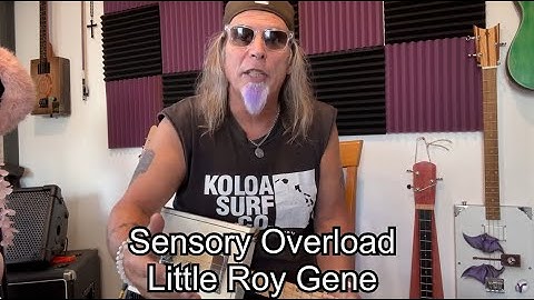 Sensory Overload Little Roy Gene lesson on 3 String Cigar Box Guitar tuned in Open G GDg