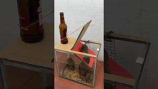 The Most Perfect Homemade Mouse Trap Idea // Mouse Trap 2 #Rattrap #Rat #Mousetrap #Shorts