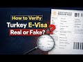 Turkey ka visa kaise check karen | How to check turkey visa status online | Turkey visa check online