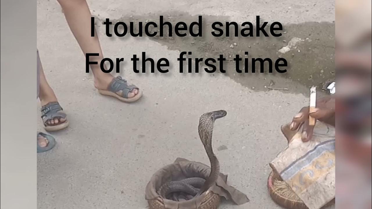 Snake show pehli bar snake ko touch kia haitham or haram ki dunia