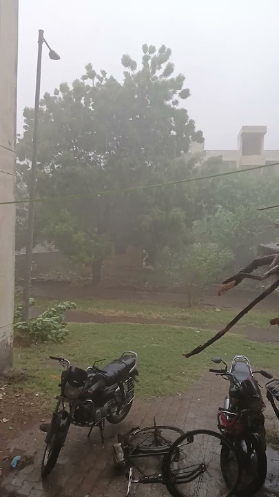 lagi Aaj savan Ki vo jhadi Hai#sort #hindisong #doglot #🐕🐕🐕🌨️🌨️🌨️🌨️