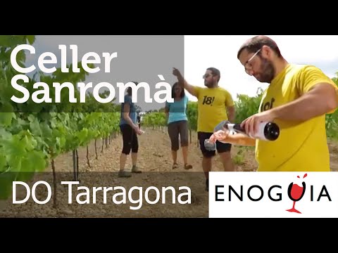 Celler Sanromà - DO Tarragona - Enoturismo - Cooperativa de Vila-rodona