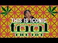 First Time Hearing TOOL - The Pot (Audio) Reaction