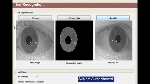 Iris Data Indexing Method Using Gabor Energy Features Matlab Project