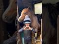 You Can The Be The Beauty And I Will Be The Monster 損 Horse Pony Bestfriends Cute Edit Fyp You Can The Be The Beauty And I Will Be The Monster 損 Horse Pony Bestfriends Cute Edit Fyp