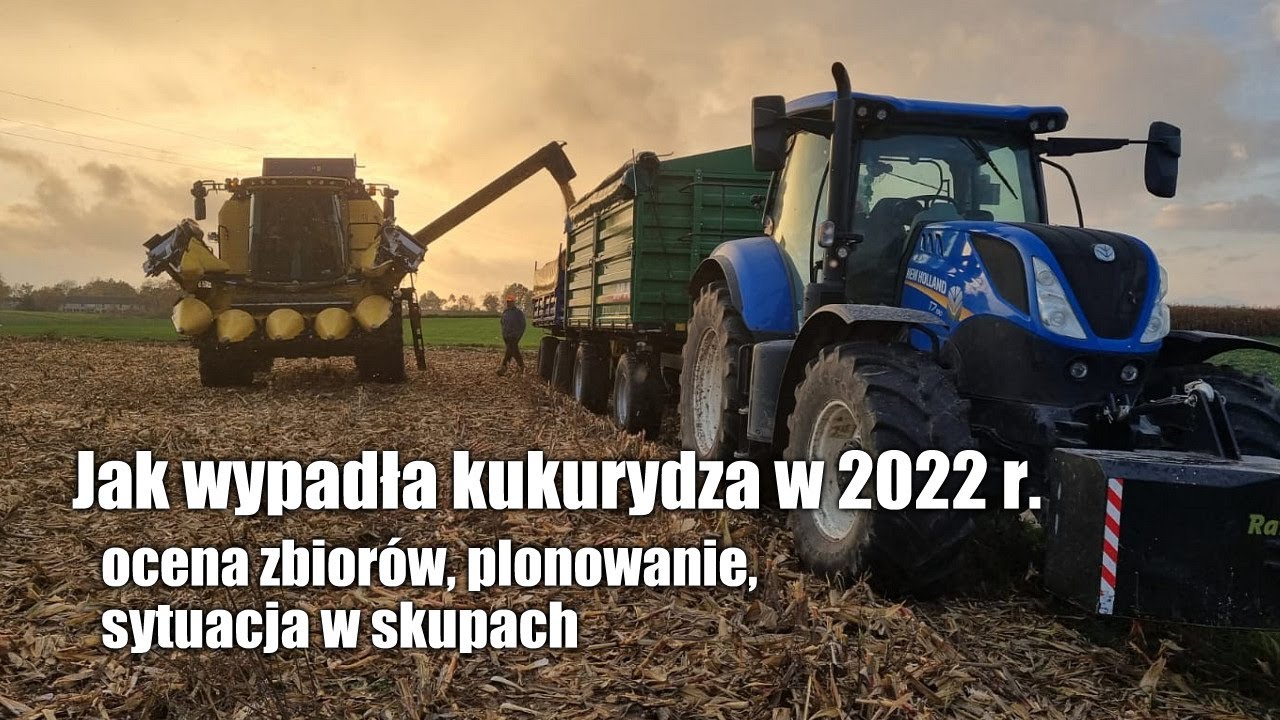 maxresdefault Jak wypadła kukurydza w 2022 r.? Ocena zbiorów, plonowanie, sytuacja w skupach   VIDEO