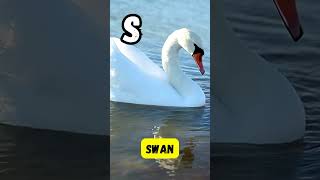 Riverside Rhymes | ABC River Animal Short Song for Kids | #abcd #kids #shorts #learning #animals