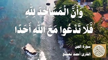 072 أحمد نعينع - سورة الجن