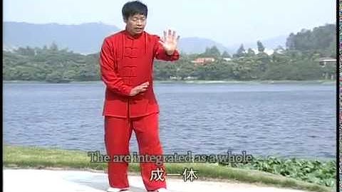 Sun-style Xingyi Twelve shapes hand  