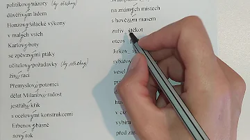 Co je pravopisné pravidlo?