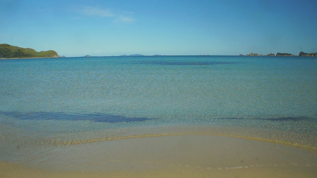 Заповедная бухта Астафьева - YouTube