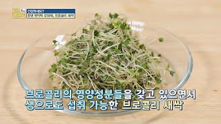 (건강한 식습관) 천연 면역력 강화제， ′브로콜리 새싹′ 오늘， 굿데이(goodday) 156회