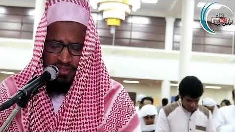 وَالْعَادِيَاتِ ضَبْحًا * فَالْمُورِيَاتِ قَدْحًا ) تلاوة القارئ توفيق المصعلي