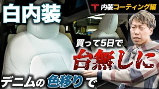 白内装の車に毎日デニムを履いて乗り続けた結果がヤバすぎた内装コーティング編